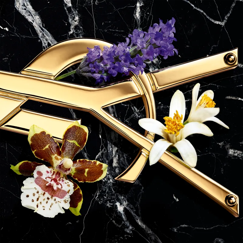 PERFUME FEMININO YVES SAINT LAURENT LIBRE INTENSE EDP 50ml - Imagem 4