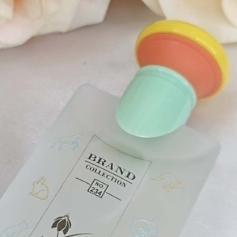 Perfume  BRAND COLLECTION N°234 -  25ML - Imagem 4