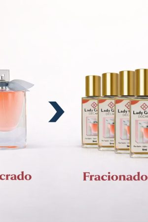 WhatsApp Image 2026-02-10 at 17.35.33